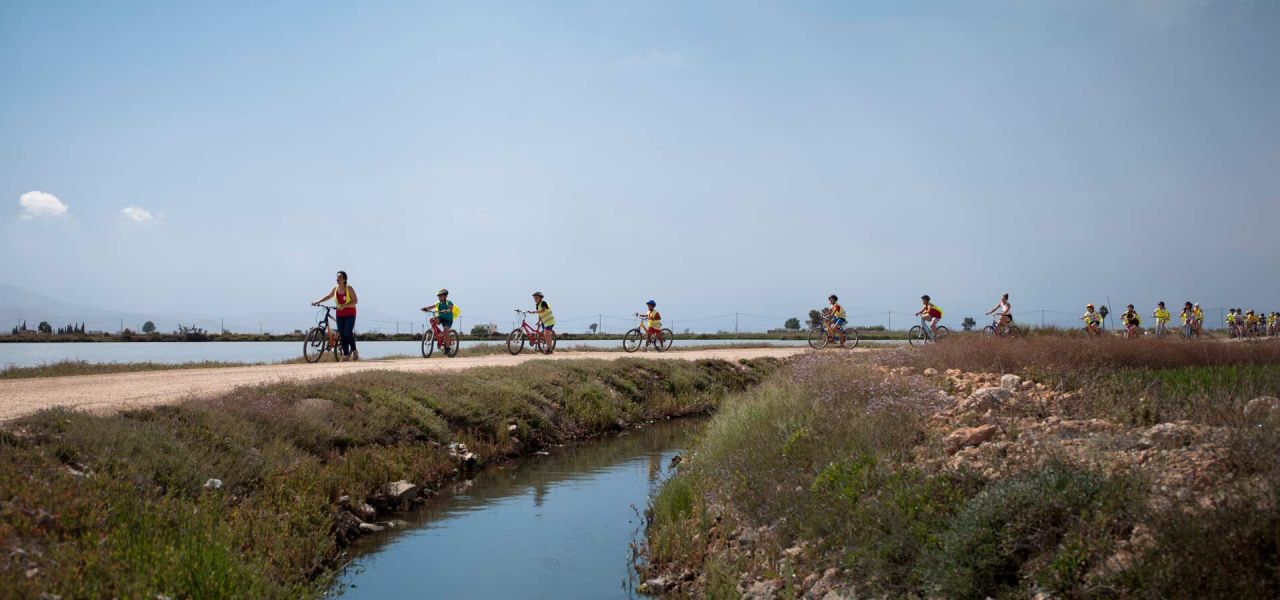 Activitats - Activitats al Poble Nou, Excursions i activitats del delta de l'Ebre - 17