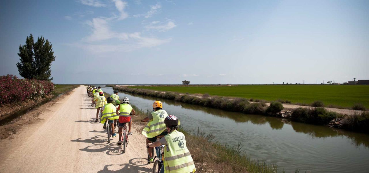 Actividades - Actividades al Poble Nou, Excursiones y actividades al delta del Ebro - 18