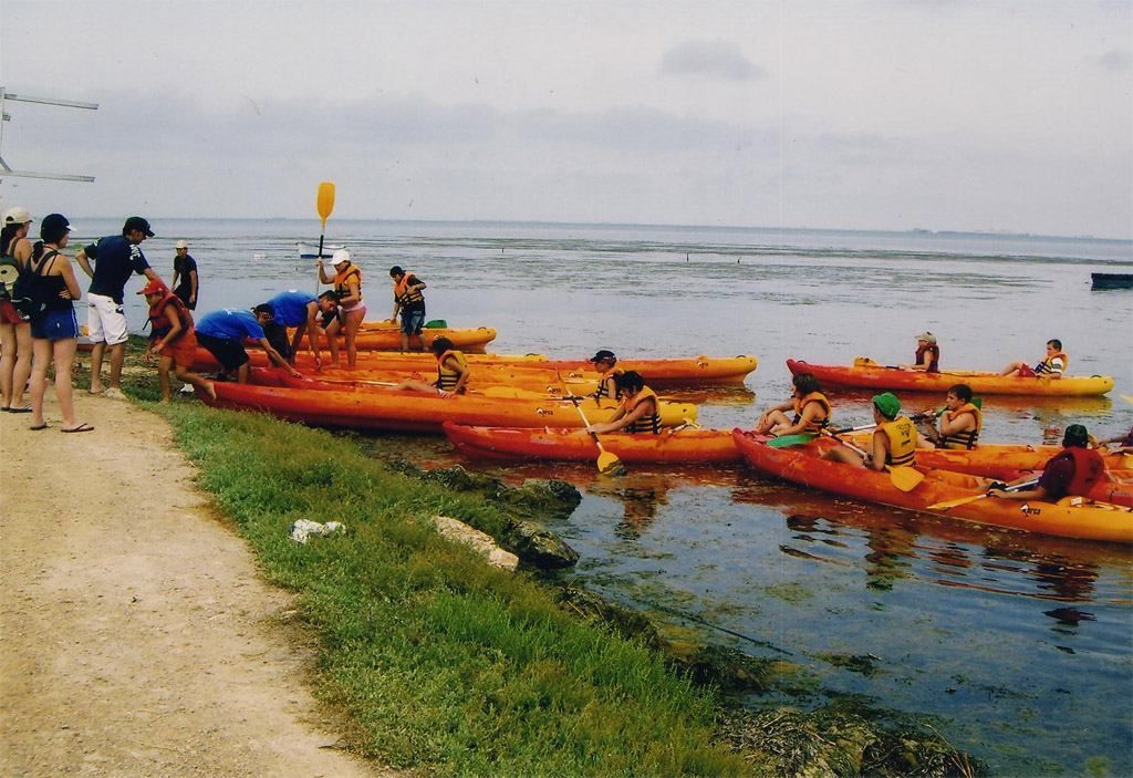 Activitats - Activitats al Poble Nou, Excursions i activitats del delta de l'Ebre - 9