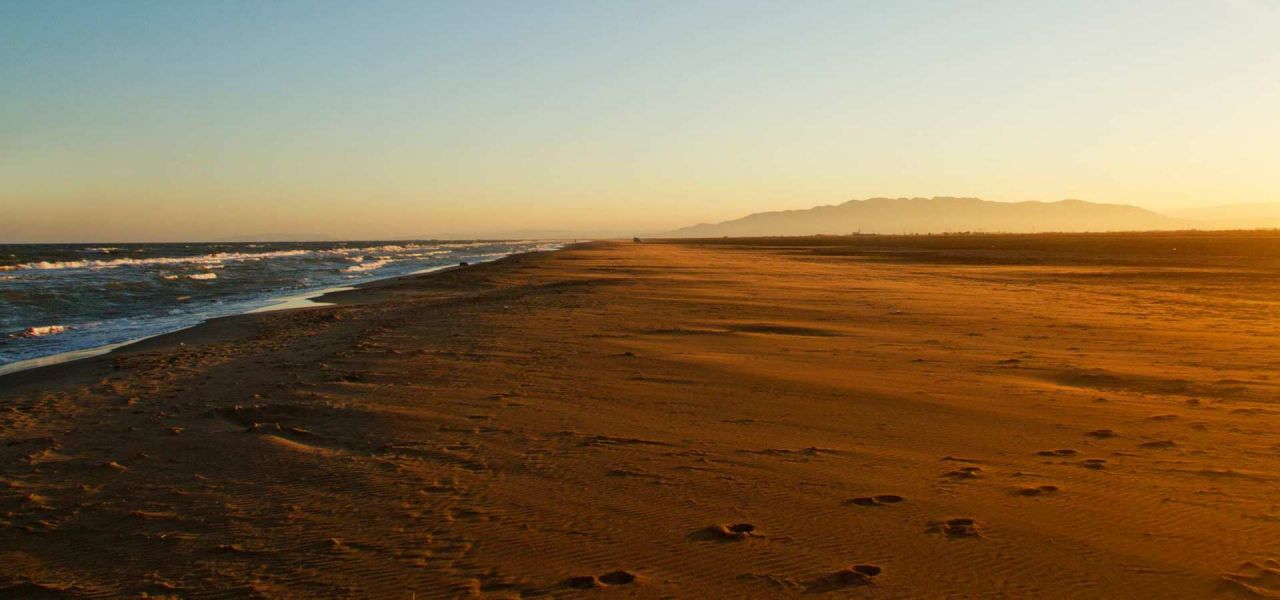 Entorn - Poble Nou del Delta, Delta de l'Ebre - 5